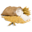 Мука