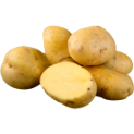 Мука